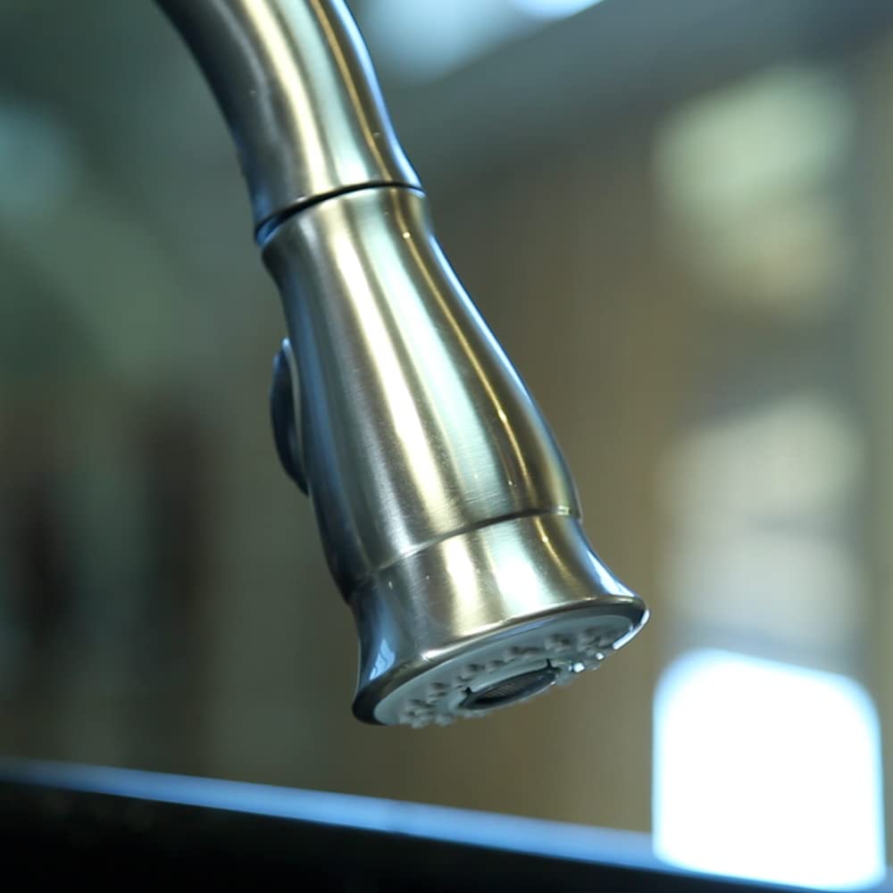 Danco Traditional Smart Spray Kitchen Sink Faucet Pull Down Faucet Spray Head, Stainless Steel, 1-Pack (10724) - Image 6